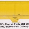 F-324 - Dakota Minnesota & Eastern Trinity 5161 CUFT Covered Hoppers